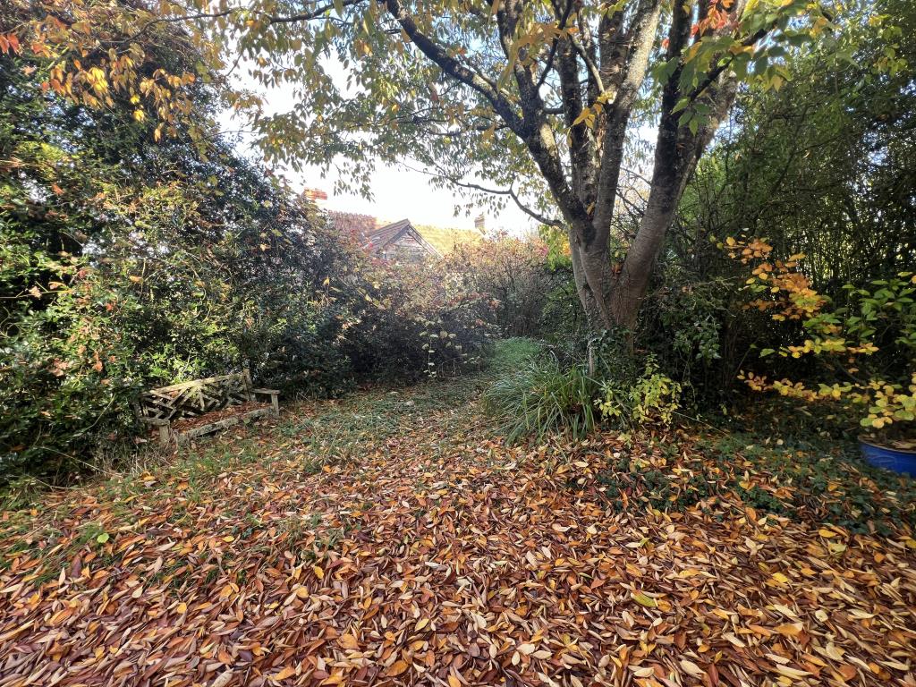 Lot: 16 - DETACHED THREE-BEDROOM COTTAGE FOR IMPROVEMENT WITH PLANNING FOR EXTENSION - General view of part of the garden